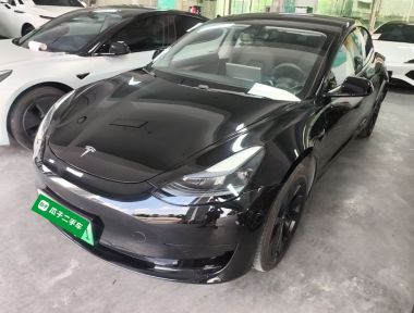 Tesla Model 3 2021 car image 