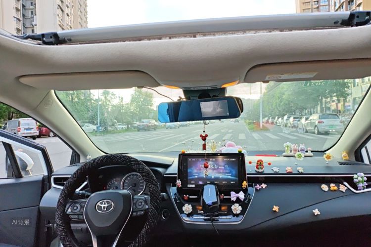 Toyota Corolla 2019 car image #20