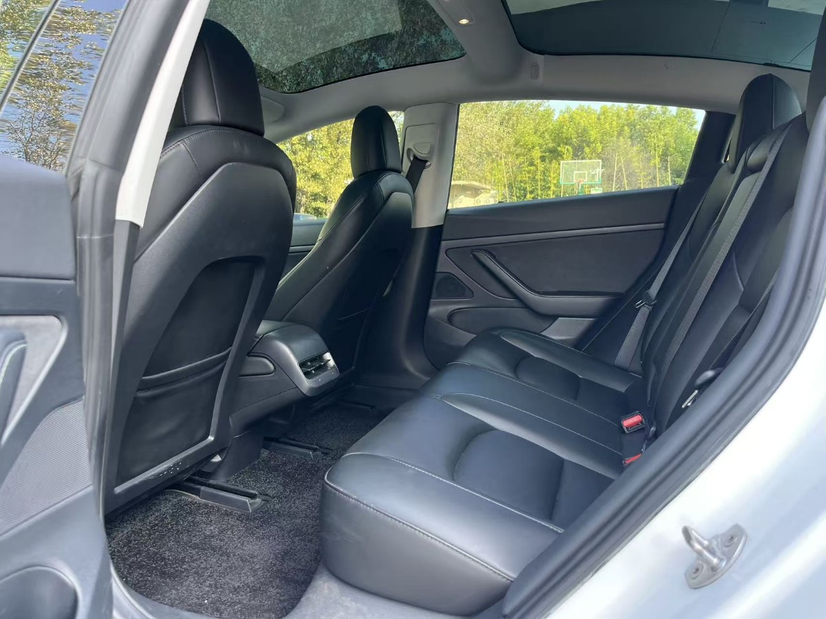 Tesla Model 3 2020 #6 Tesla Model 3 2020 car image #6