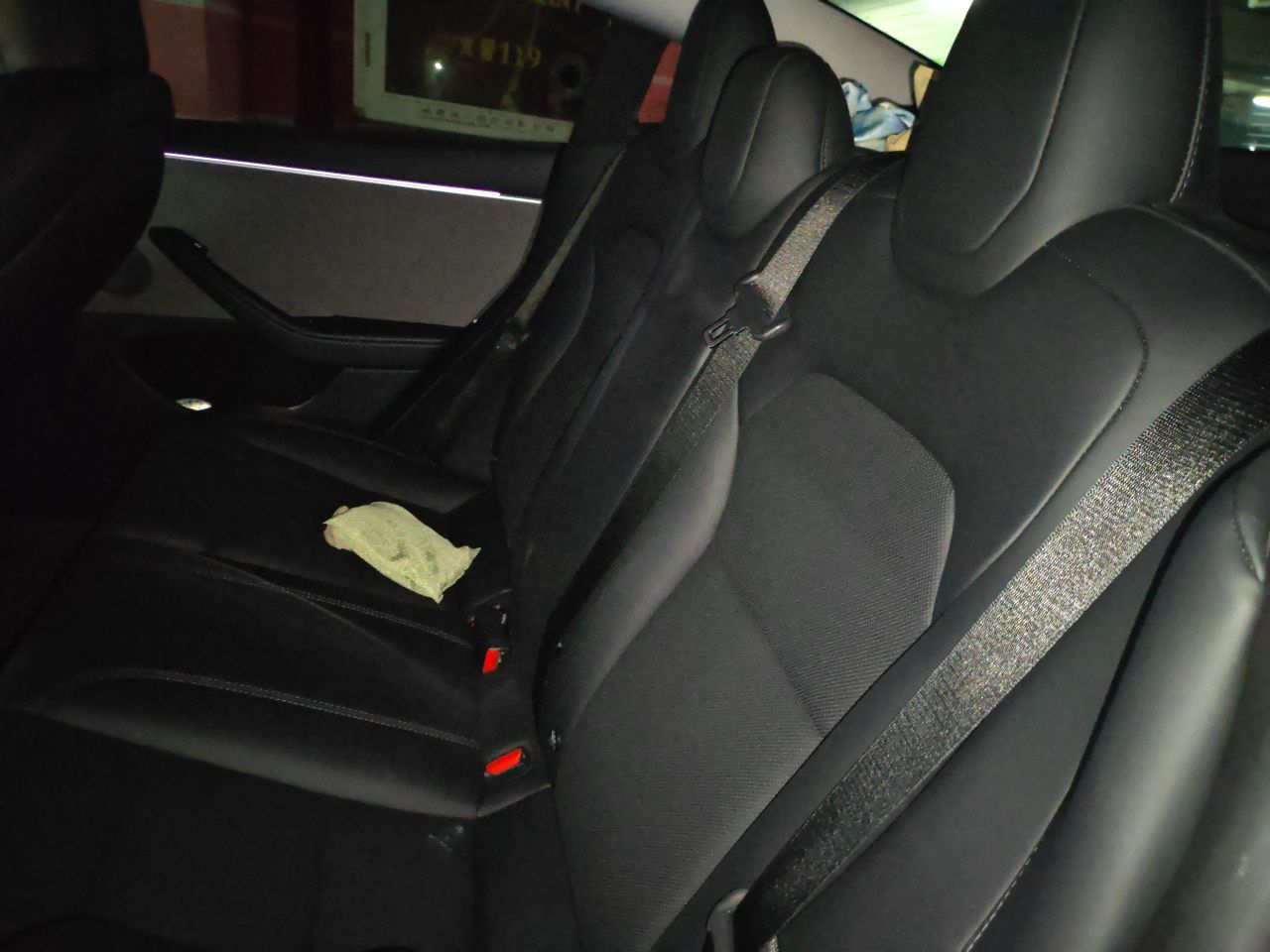 Tesla Model 3 2024 immagine di auto #3