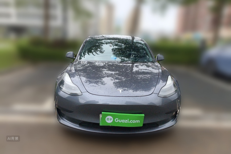 Tesla Model 3 2021 car image #3