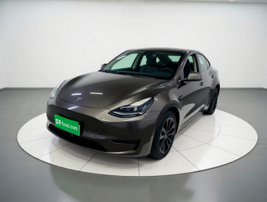 Tesla Model Y 2022 Tesla Model Y 2022 car image
