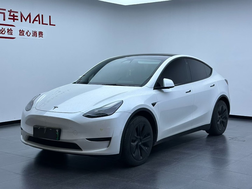 Tesla Model Y 2023 car image 