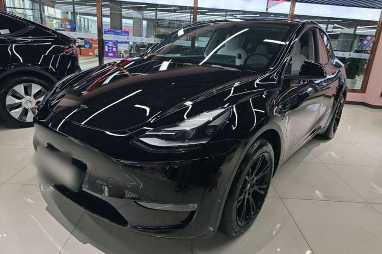 Tesla Model Y 2021 car image #2