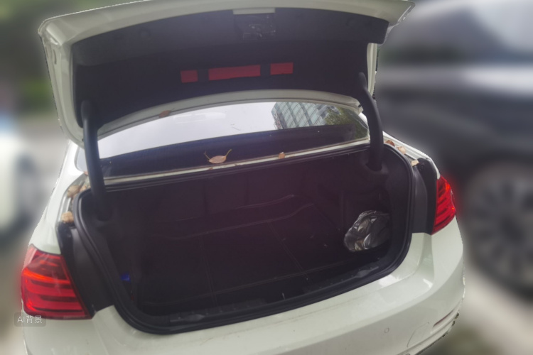 BMW 3 Series 2015 car image #21