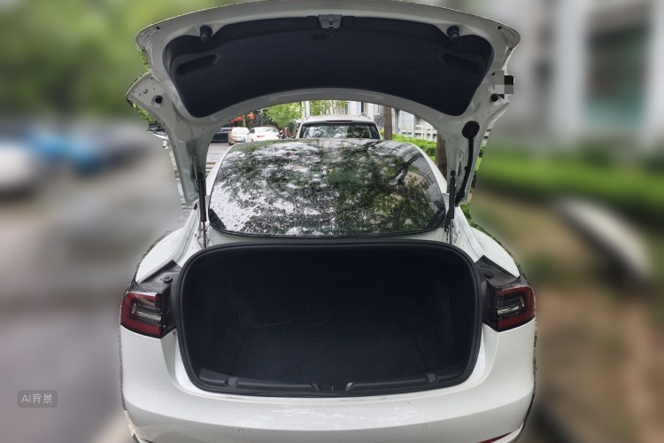 Tesla Model 3 2020 #21 Tesla Model 3 2020 car image #21
