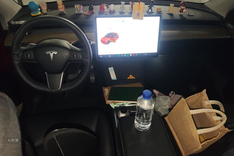 Tesla Model Y 2021 car image #11