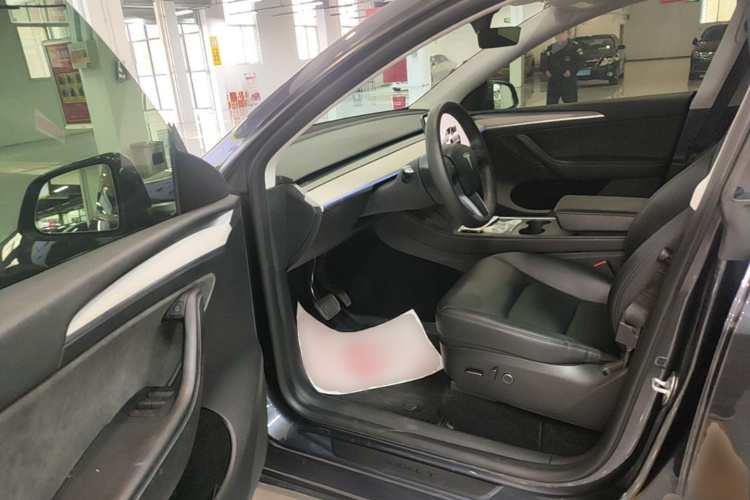 Tesla Model Y 2024 car image #16