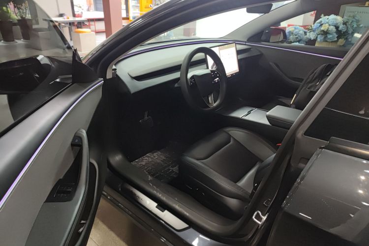 Tesla Model 3 2025 car image #16