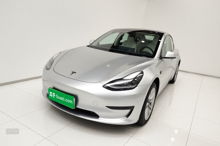 Tesla Model 3 2021 #2 Tesla Model 3 2021 car image #2