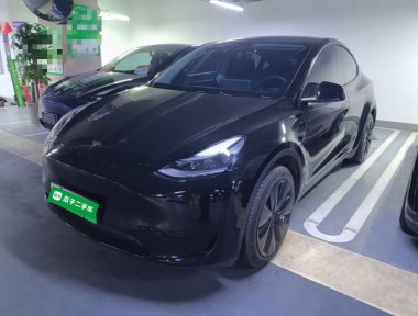 Tesla Model Y 2023 Tesla Model Y 2023 car image