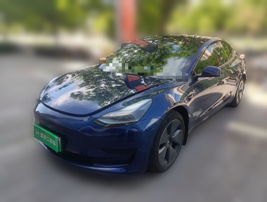 Tesla Model 3 2021 Tesla Model 3 2021 car image
