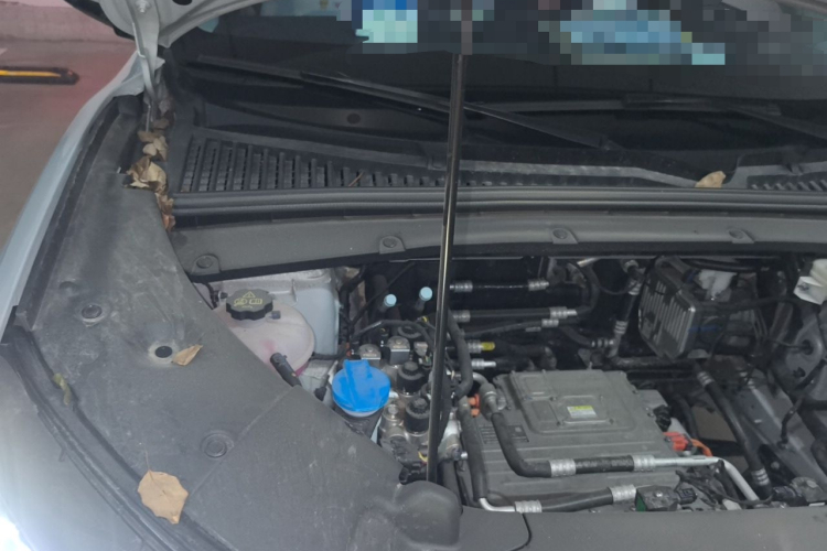 BYD YuanUP 2025 #28 BYD YuanUP 2025 car image #28