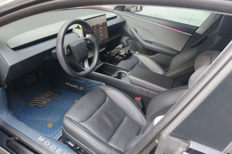 Tesla Model 3 2024 car image #17