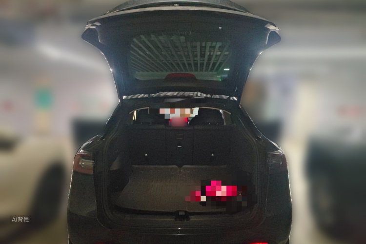 Tesla Model Y 2024 car image #21