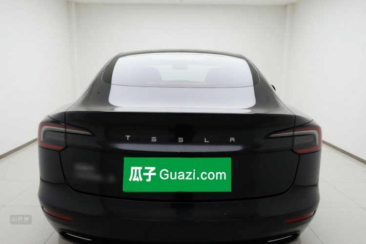 Tesla Model 3 2024 car image #6