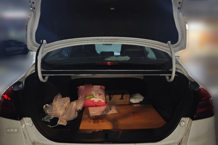 GEELY Emgrand 2019 #21 GEELY Emgrand 2019 car image #21