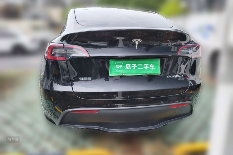 Tesla Model Y 2023 car image #6