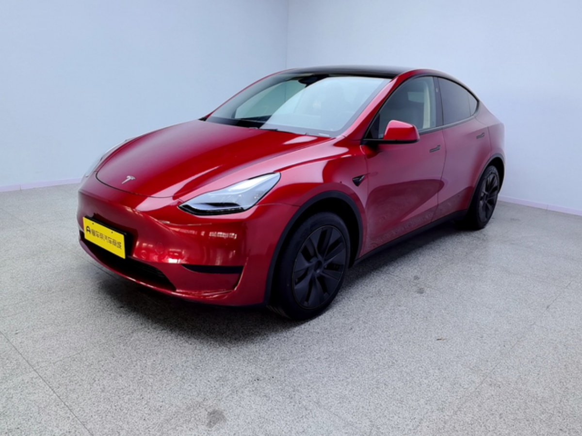 Tesla Model Y 2024 car image 