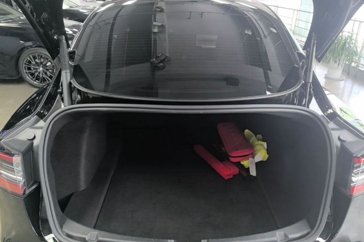 Tesla Model 3 2021 #19 Tesla Model 3 2021 car image #19