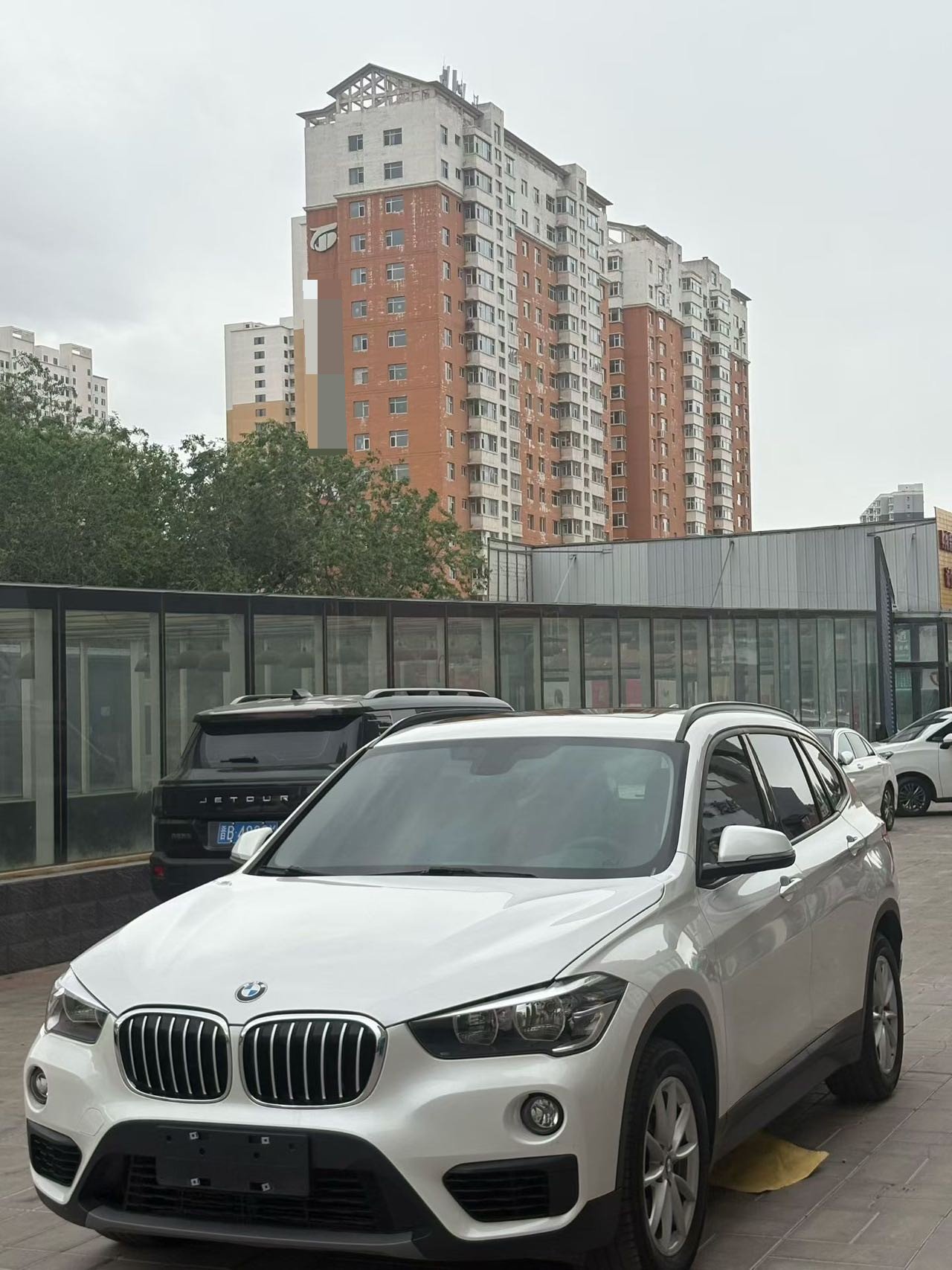 BMW X1 2019 immagine di auto 