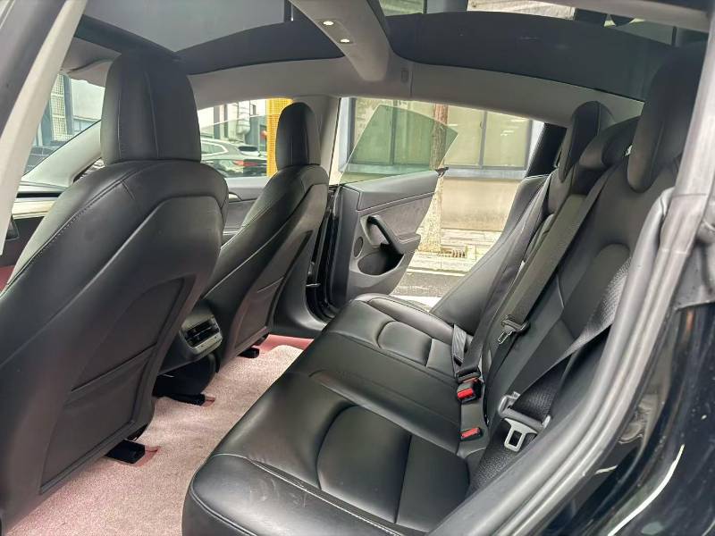Tesla Model 3 2022 car image #8