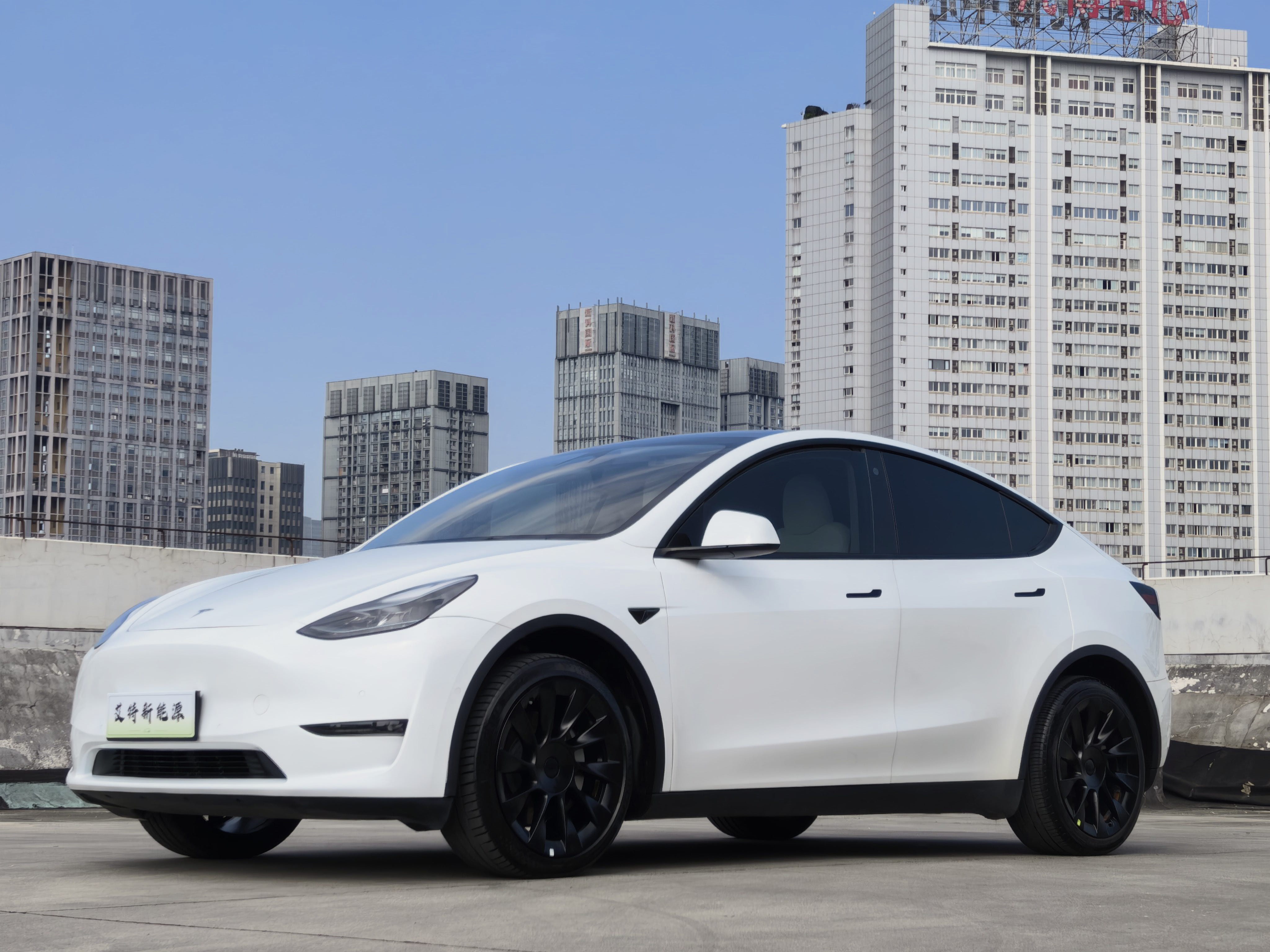 Tesla Model Y 2023 car image 