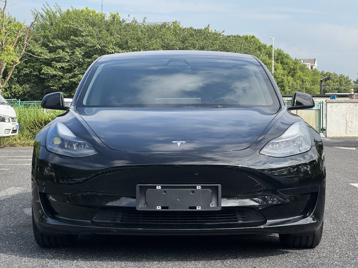 Tesla Model 3 2021 #4 Tesla Model 3 2021 car image #4
