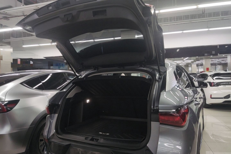 BYD Yuan Plus 2022 car image #19