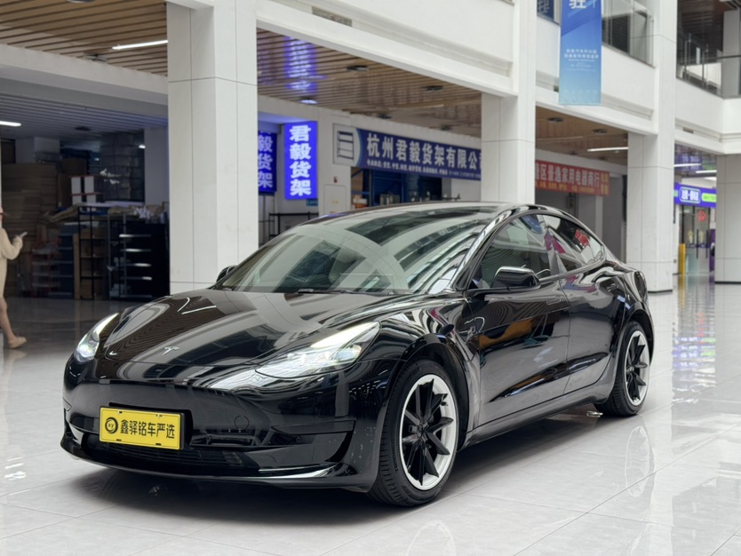 Tesla Model 3 2022 car image 