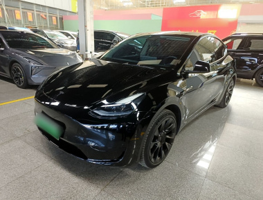 Tesla Model Y 2023 Tesla Model Y 2023 car image