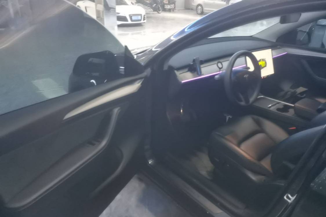 Tesla Model Y 2024 car image #17