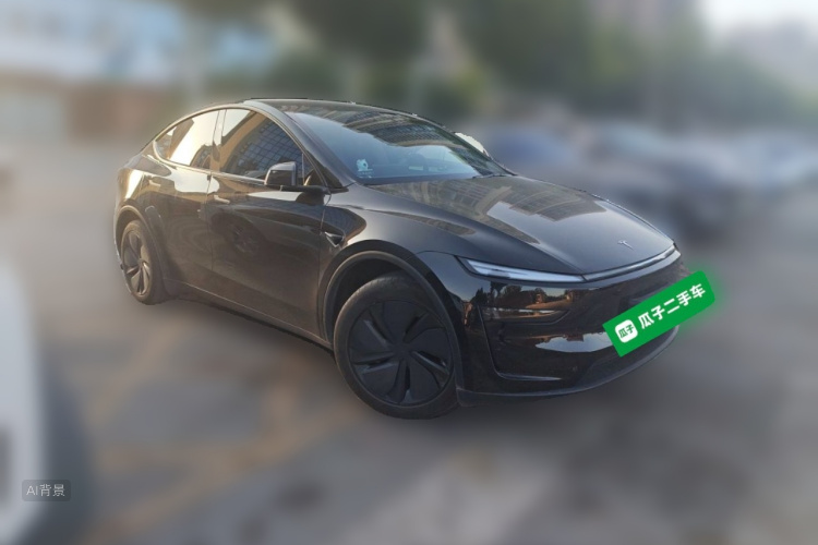 Tesla Model Y 2025 car image #4