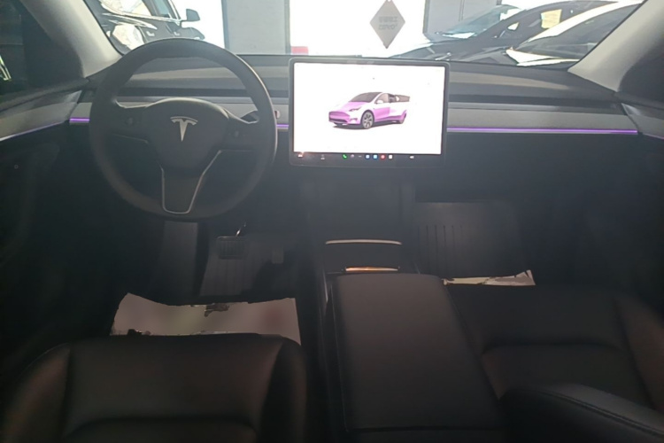 Tesla Model Y 2024 car image #10