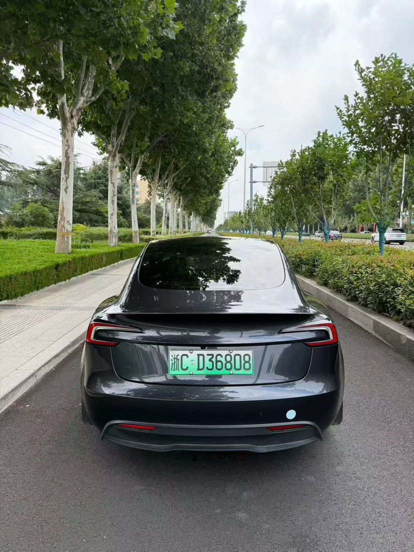 Tesla Model 3 2024 #7 Tesla Model 3 2024 car image #7