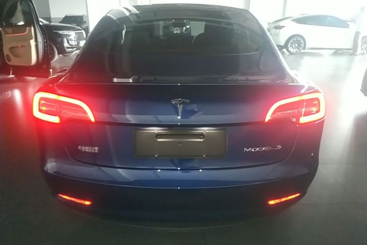 Tesla Model 3 2020 #6 Tesla Model 3 2020 car image #6
