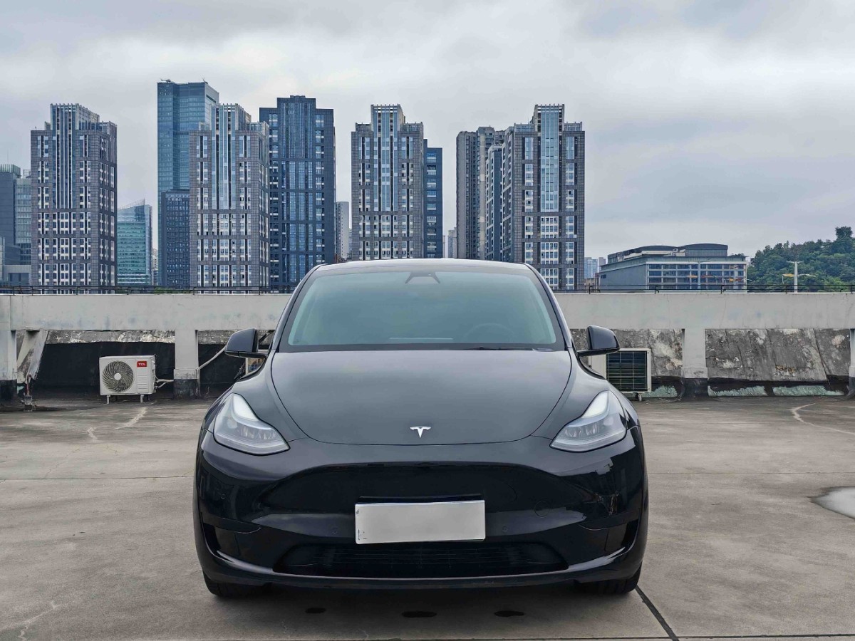 Tesla Model Y 2022 #3 Tesla Model Y 2022 car image #3