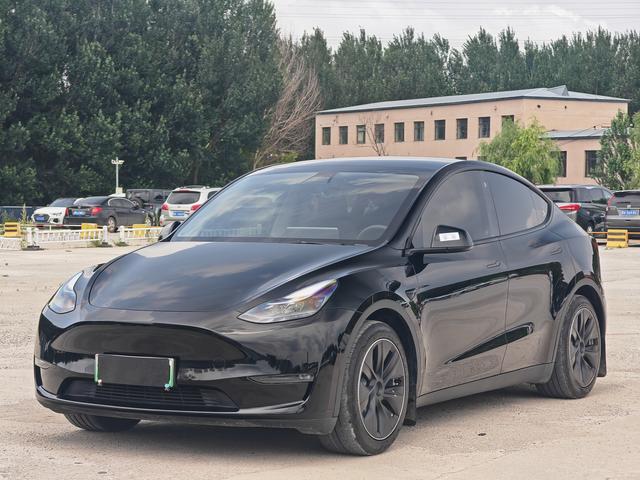 Tesla Model Y 2021 car image #17