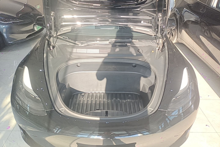 Tesla Model 3 2022 #20 Tesla Model 3 2022 imagen de coche #20