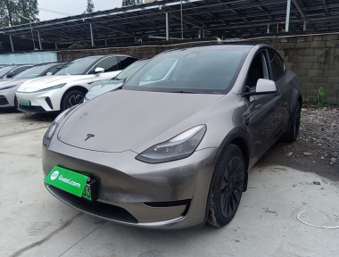 Tesla Model Y 2022 car image 