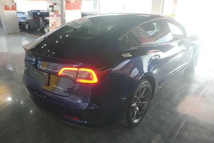 Tesla Model 3 2021 car image #7