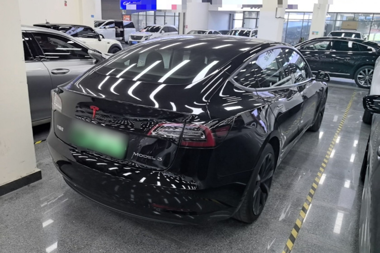 Tesla Model 3 2021 #7 Tesla Model 3 2021 car image #7