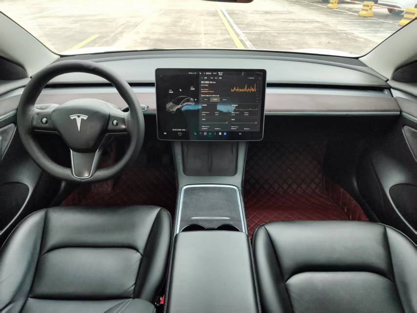 Tesla Model 3 2021 #9 Tesla Model 3 2021 car image #9