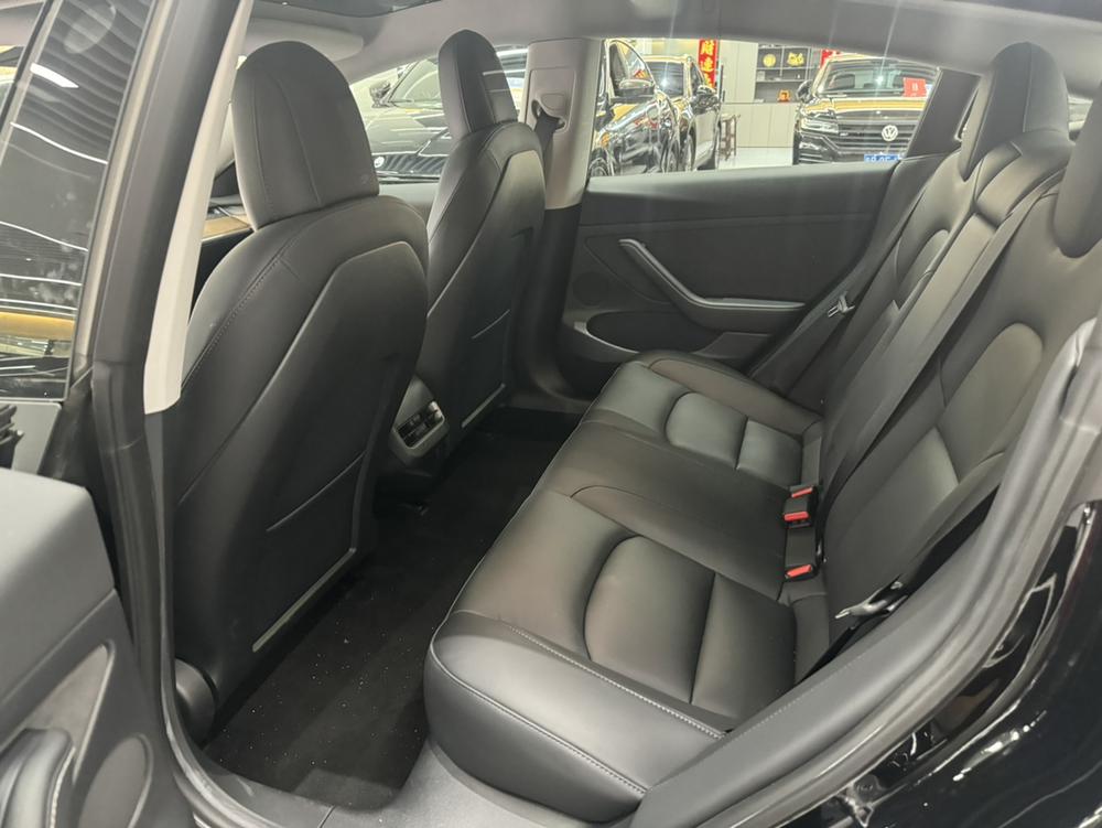 Tesla Model 3 2021 car image #13