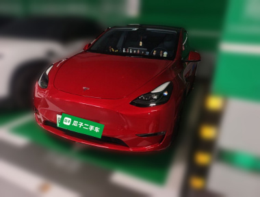Tesla Model Y 2021 car image 