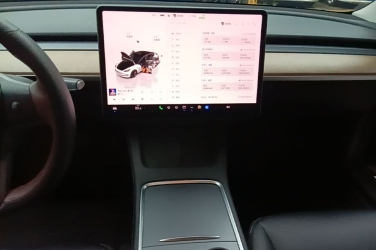 Tesla Model 3 2022 #13 Tesla Model 3 2022 car image #13