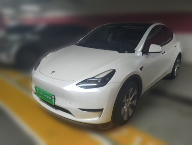 Tesla Model Y 2023 Tesla Model Y 2023 car image