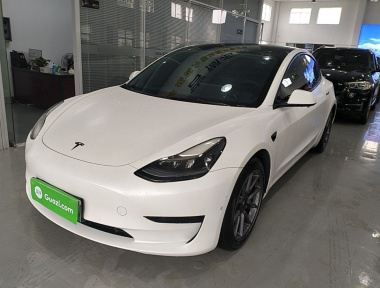 Tesla Model 3 2021 Tesla Model 3 2021 car image