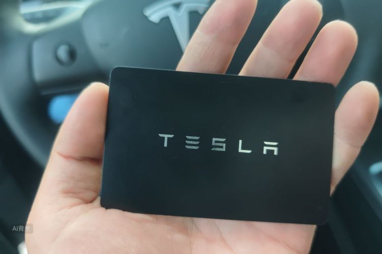 Tesla Model Y 2024 #10 Tesla Model Y 2024 car image #10