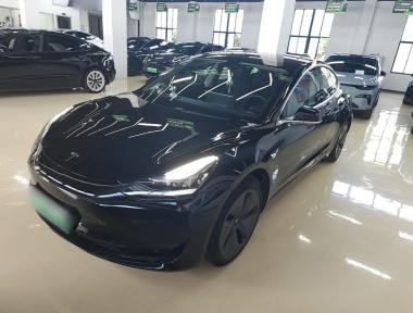 Tesla Model 3 2020 Tesla Model 3 2020 immagine di auto